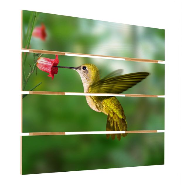 Quadros em madeira Hummingbird And Flower