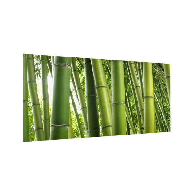 painéis antisalpicos Bamboo Trees