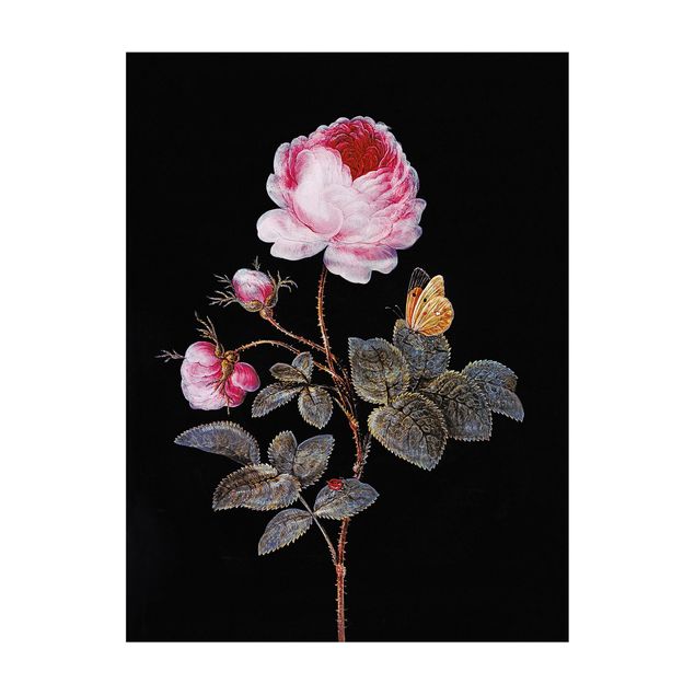 Tapete de flores Barbara Regina Dietzsch - The Hundred-Petalled Rose