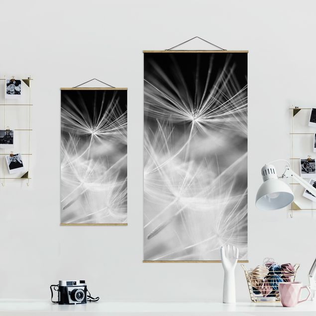 quadros em preto e branco Moving Dandelions Close Up On Black Background