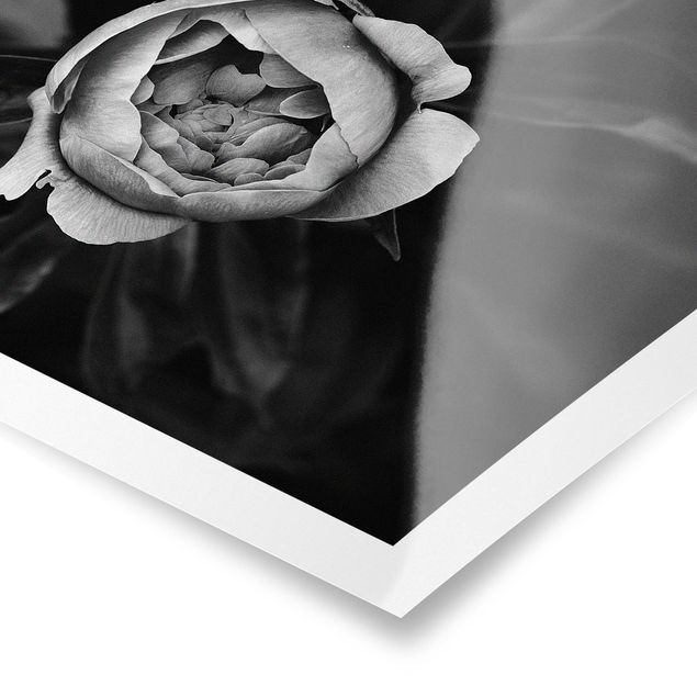 quadros para parede Peonies In Front Of Leaves Black And White