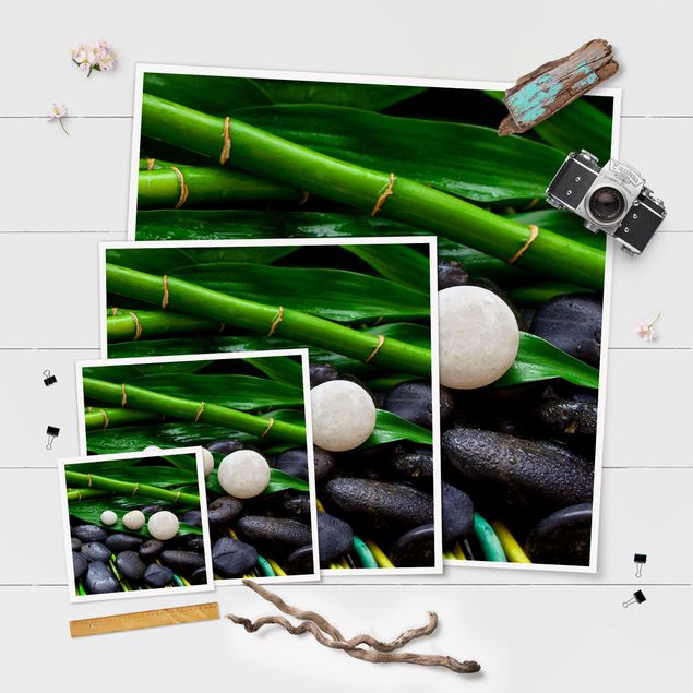 Quadros decorativos Green Bamboo With Zen Stones