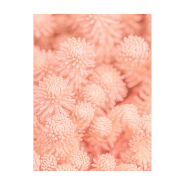 Tapetes selva Light Pink Floral Magic Sedum