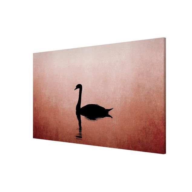 Quadros magnéticos animais Swan In Sunset