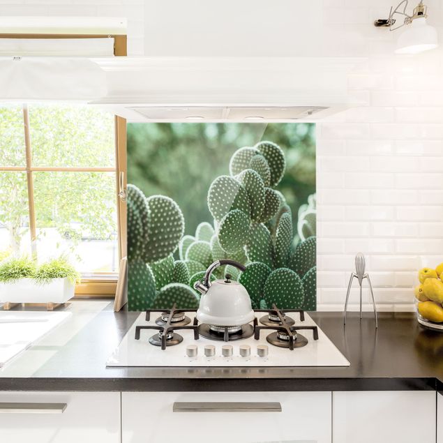 Painel anti-salpicos de cozinha flores Cacti