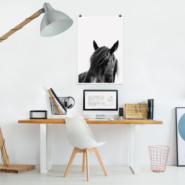Posters em preto e branco Curious Horse
