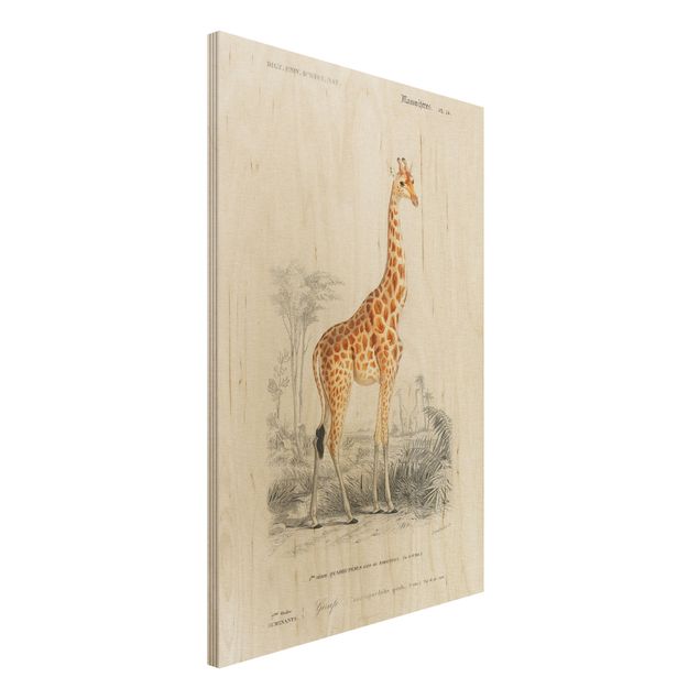 decoraçoes cozinha Vintage Board Giraffe