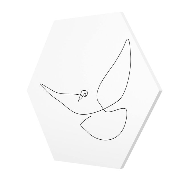 Quadros hexagonais Dove Line Art