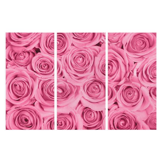 quadros de flores Pink Roses