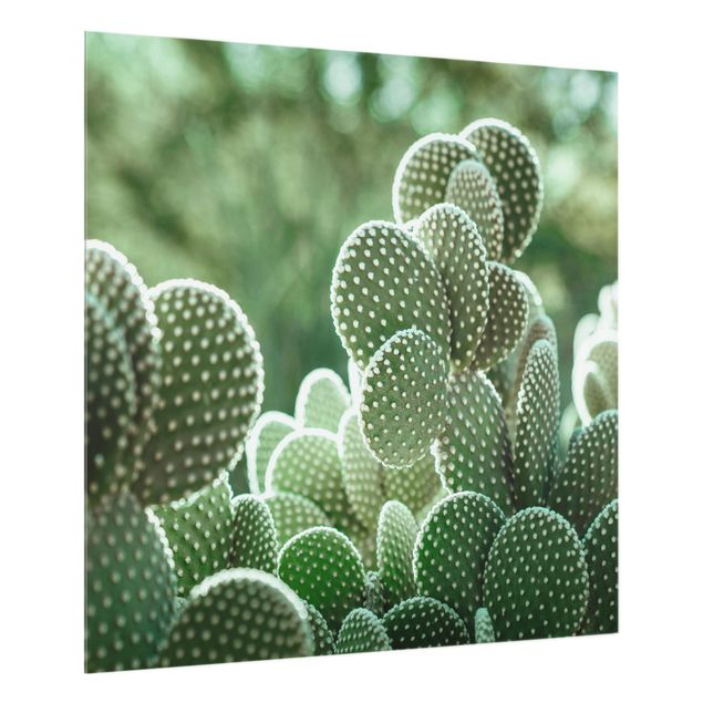 painel anti salpicos cozinha Cacti