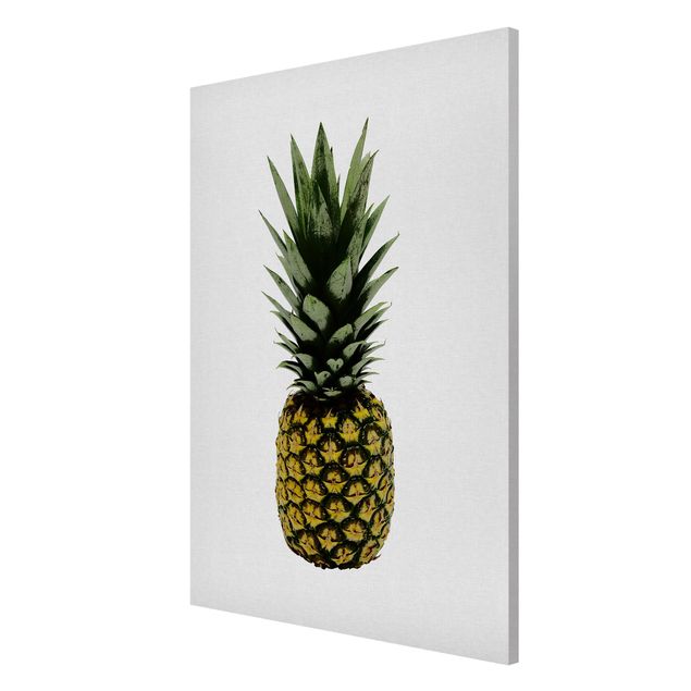 Quadros magnéticos flores Pineapple