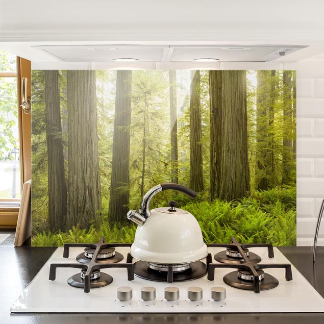 decoraçao para parede de cozinha Redwood State Park Forest View