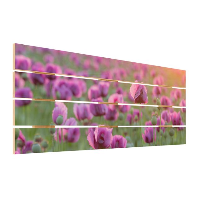 Quadros em madeira Purple Poppy Flower Meadow In Spring