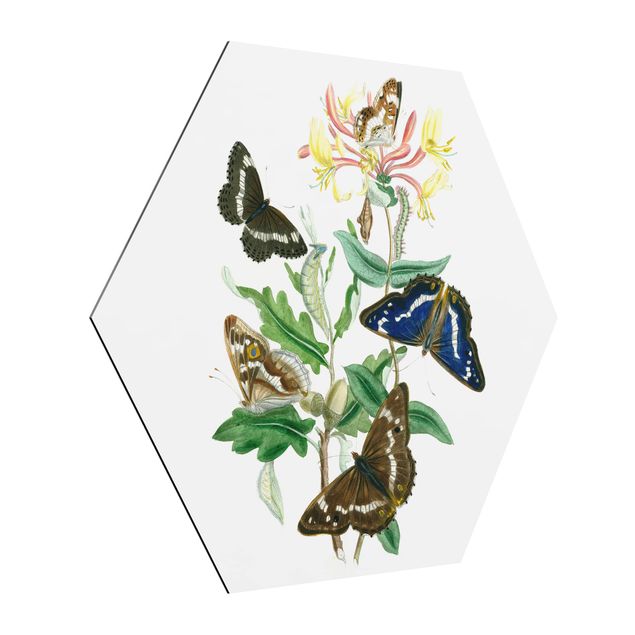 quadro com flores British Butterflies IV