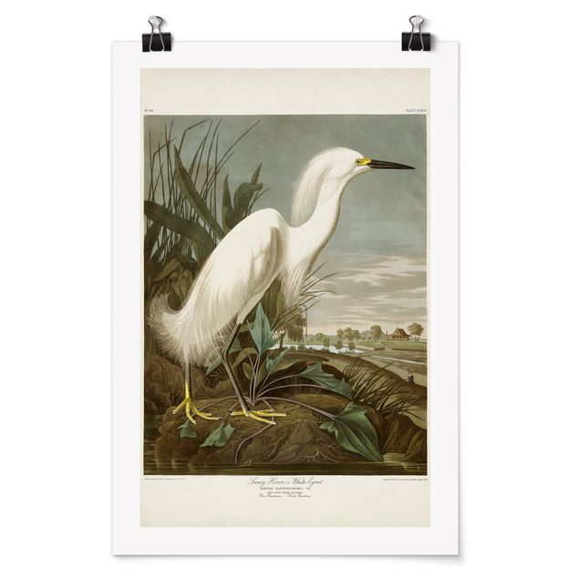 quadro decorativo mar Vintage Board White Heron I
