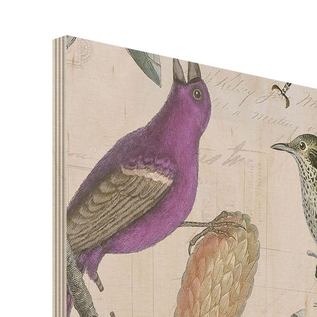 Quadros decorativos Vintage Collage - Nostalgic Birds