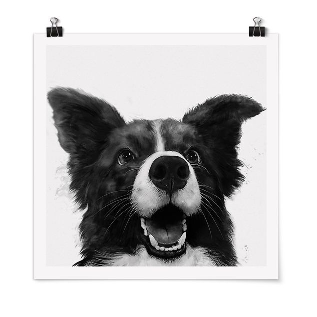 Posters quadros famosos Illustration Dog Border Collie Black And White Painting