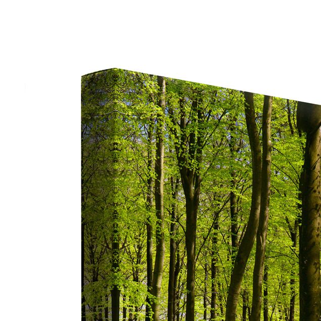 quadro decorativo verde Forest Meadow