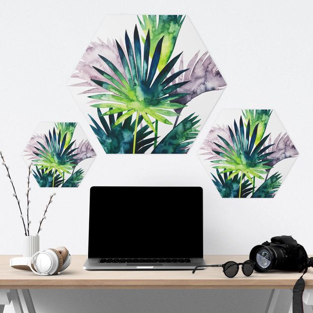 Quadros hexagonais Exotic Foliage - Fan Palm