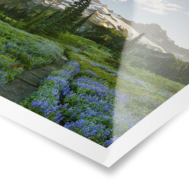 Posters flores Mountain View Meadow Path