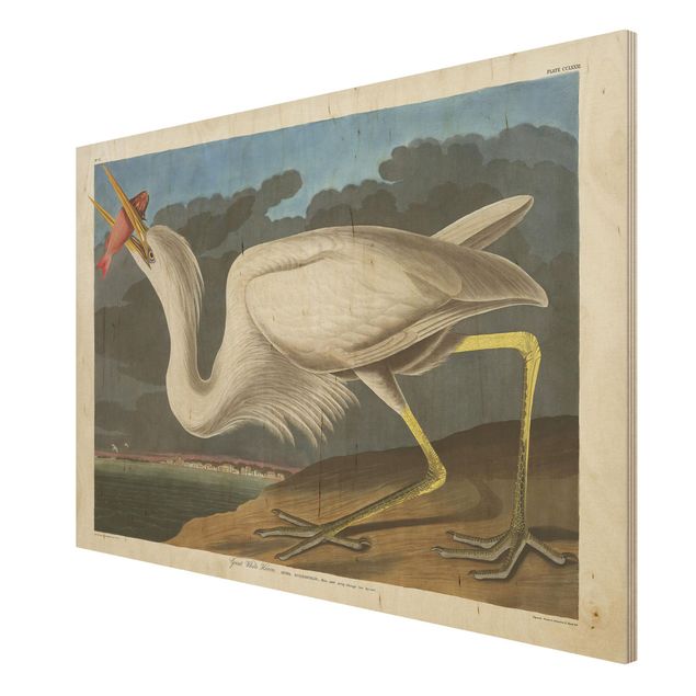quadros para parede Vintage Board Great White Egret