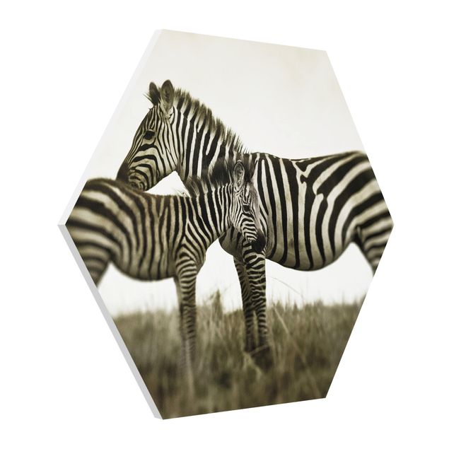 Quadros modernos Zebra Couple