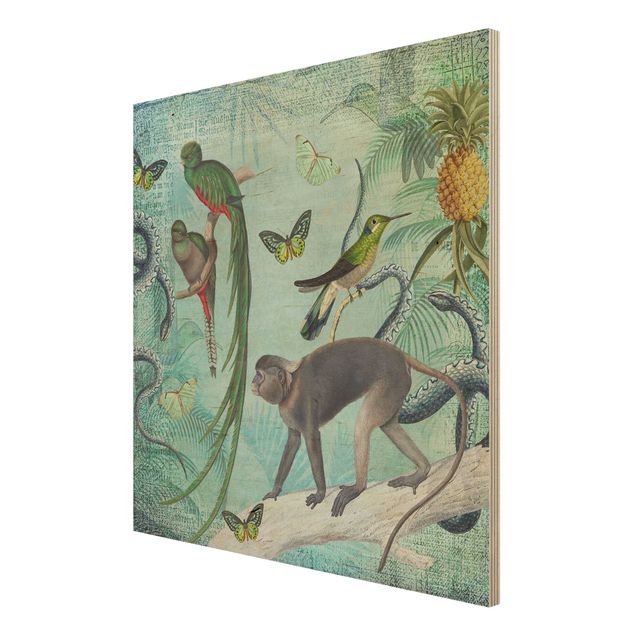 Quadros de Andrea Haase Colonial Style Collage - Monkeys And Birds Of Paradise