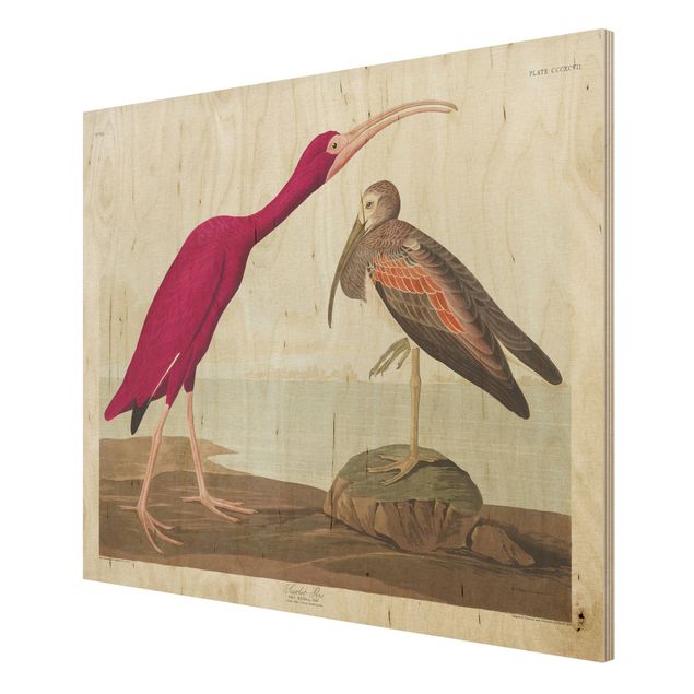 Quadros em madeira vintage Vintage Board Red Ibis