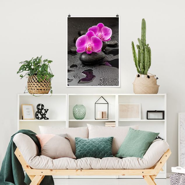 Posters quadros famosos Pink Orchid Flower On Stones With Drops
