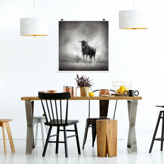 decoraçao para parede de cozinha Staring Wildebeest