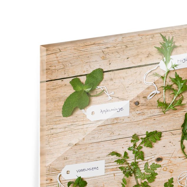 Painel anti-salpicos de cozinha Herbs With Labeling