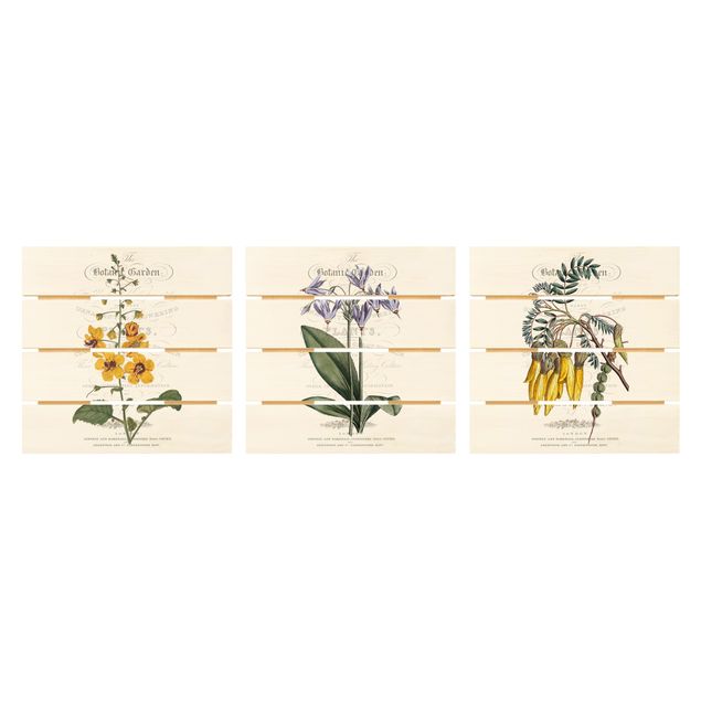Quadros decorativos Botanical Tableau Set I