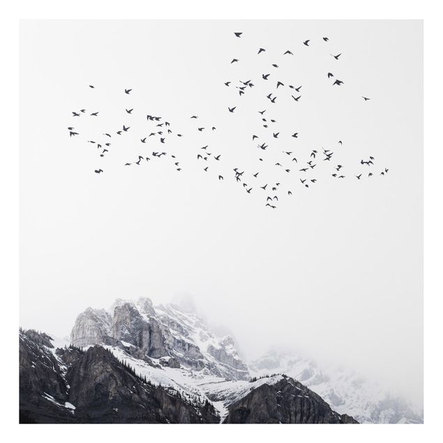 Quadros montanhas Flock Of Birds In Front Of Mountains Black And White