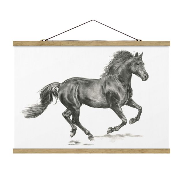 quadros decorativos para sala modernos Wild Horse Trial - Stallion