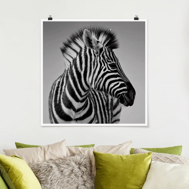 Quadros zebras Zebra Baby Portrait II
