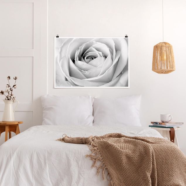 Posters em preto e branco Close Up Rose