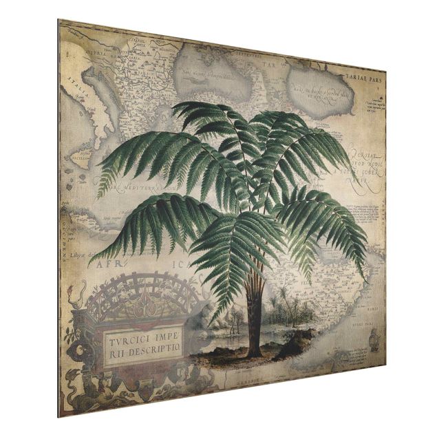 decoraçoes cozinha Vintage Collage - Palm And World Map