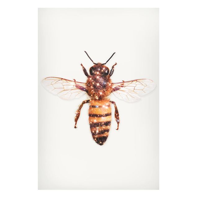 Quadros magnéticos animais Bee With Glitter