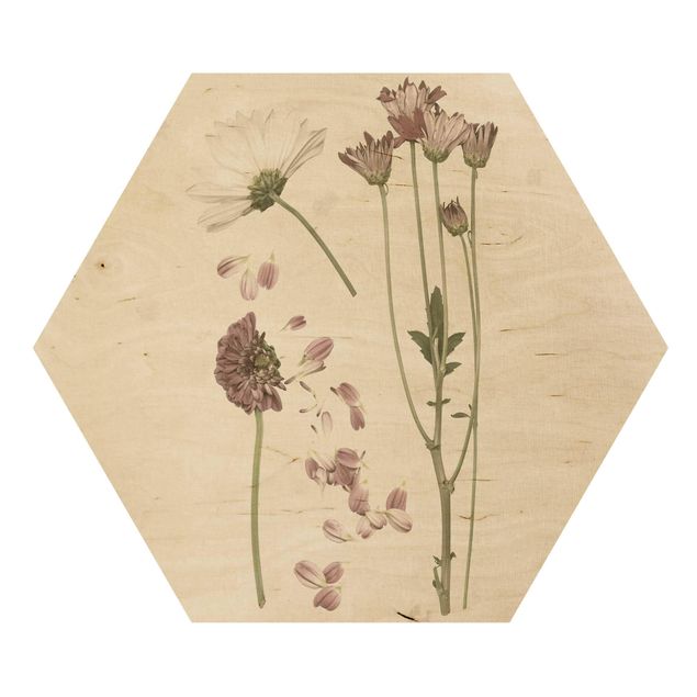 quadro de madeira para parede Herbarium In Pink II