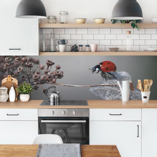 Backsplash de cozinha flores Ladybird On Hydrangea