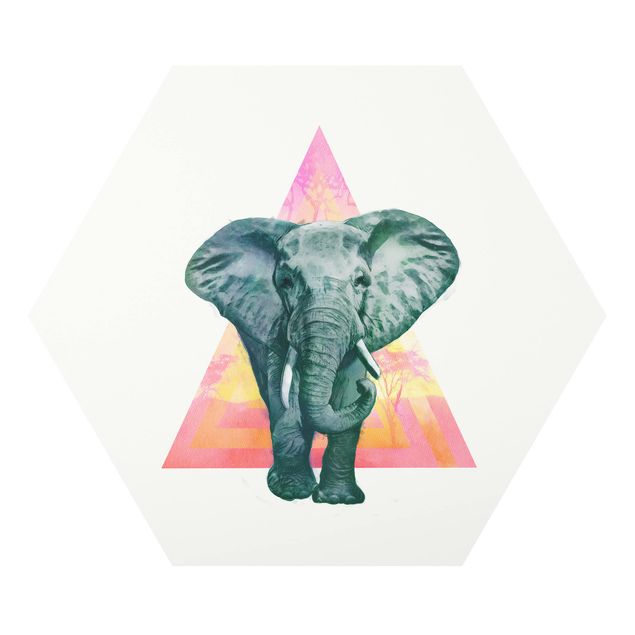 quadro animal Illustration Elephant Front Triangle Painting