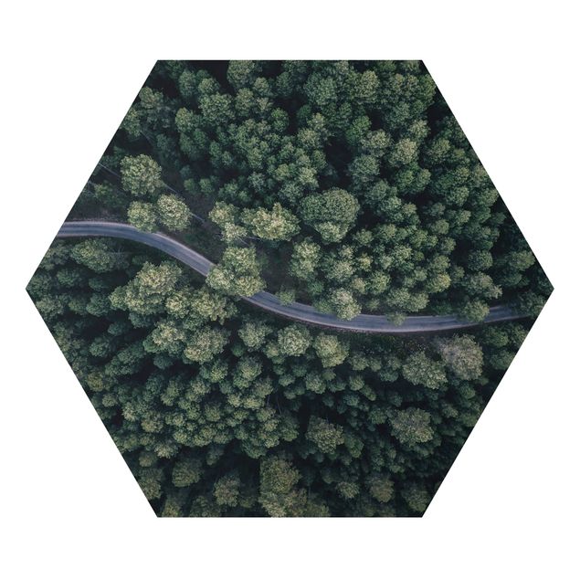 Quadros modernos Aerial View - Forest Road From The Top