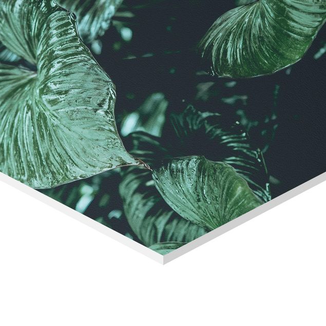 quadros decorativos verde Tropical Plants