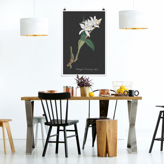 Posters flores White Orchid On Linen II