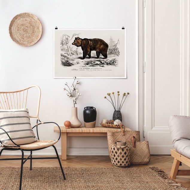 decoraçoes cozinha Vintage Board Brown Bear