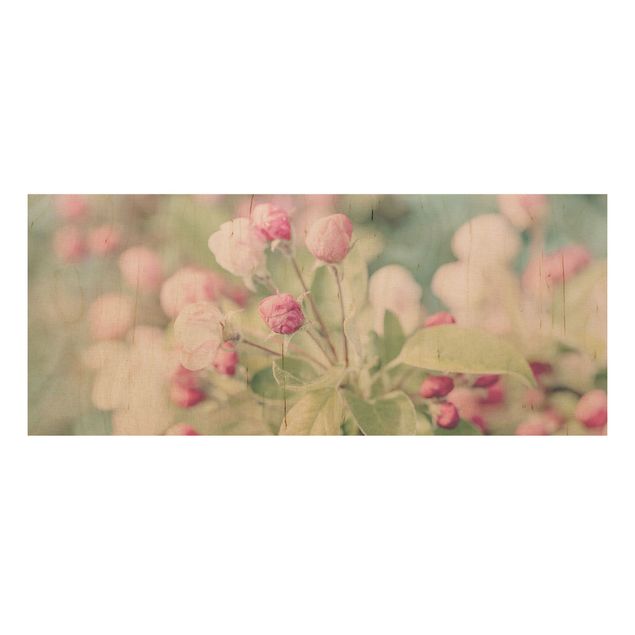 Quadros em madeira flores Apple Blossom Bokeh Light Pink