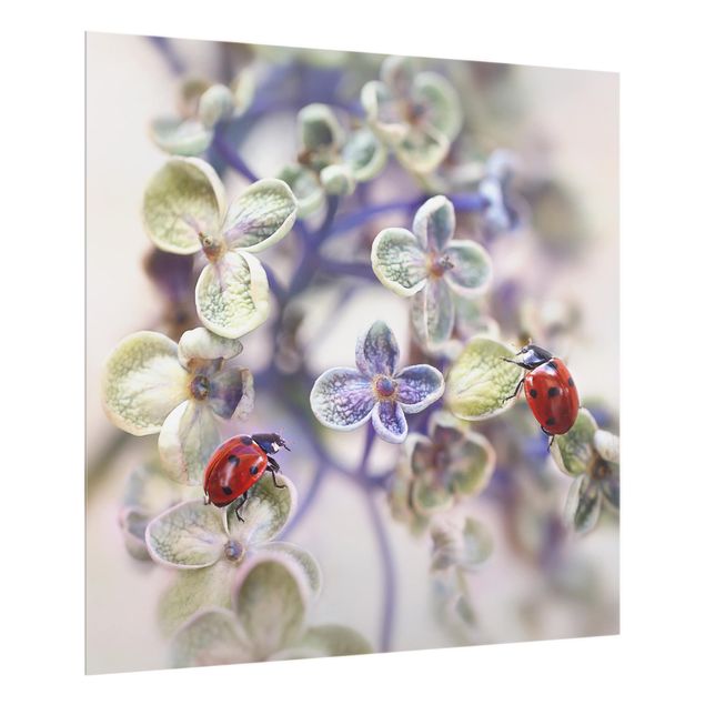 painéis antisalpicos Ladybugs In The Garden