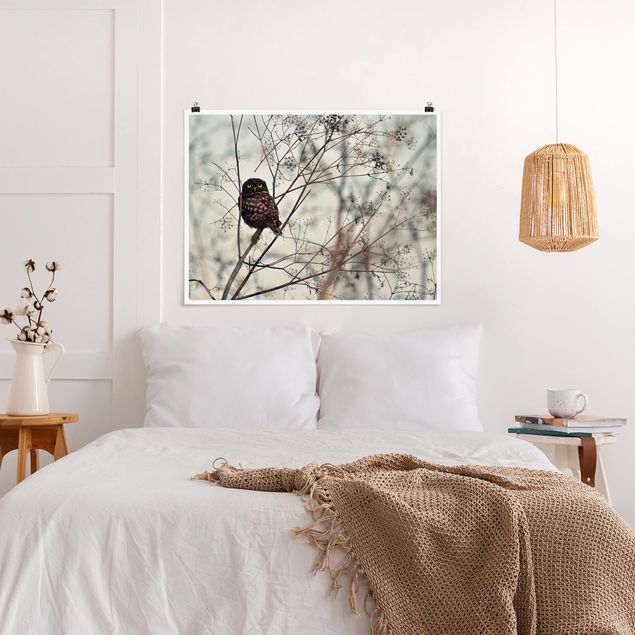 quadros modernos para quarto de casal Owl In The Winter
