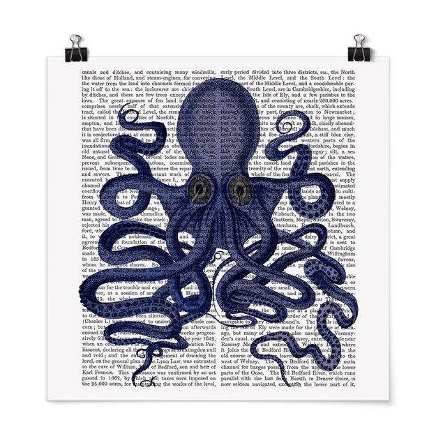Posters animais Animal Reading - Octopus