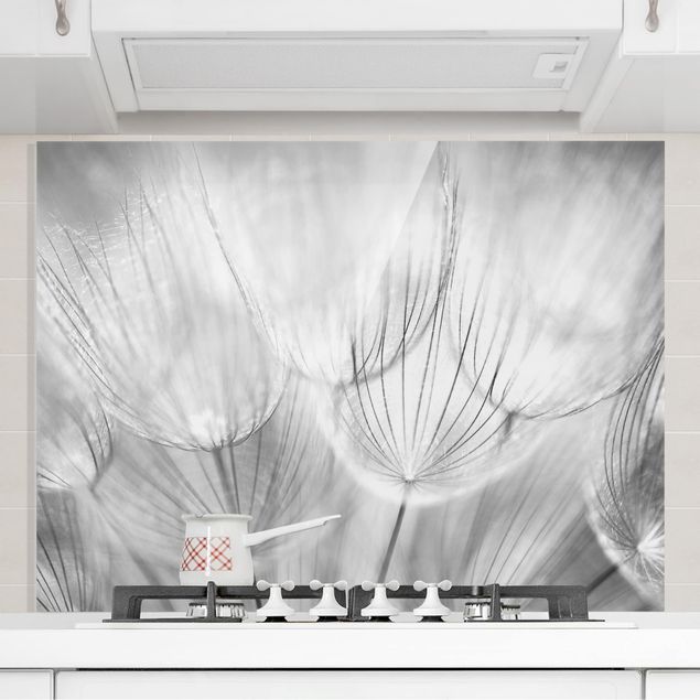decoraçao cozinha Dandelions Macro Shot In Black And White
